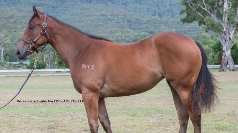 Amore Danza Sale Photo