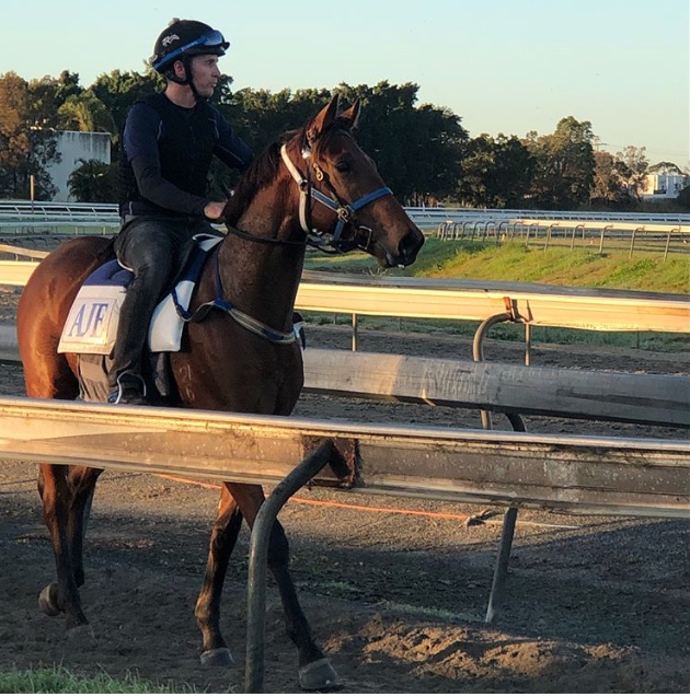 Epaulette x Hewayaat 13.06.18