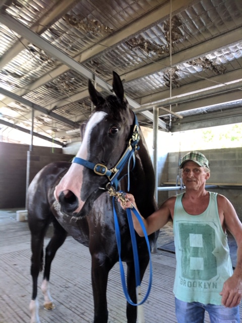 Coolwedge Post Jumpout