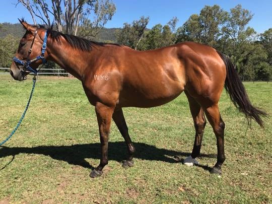 amore danza 08.01.19