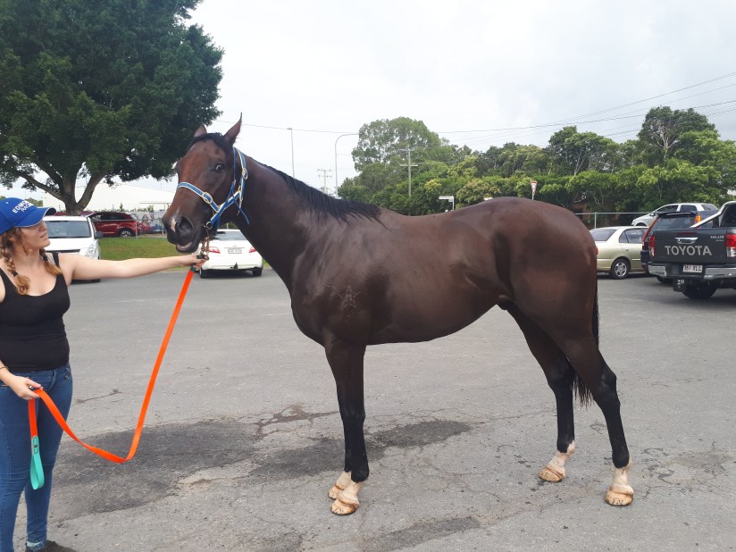 Sepoy x Dreamworker 08.02.19