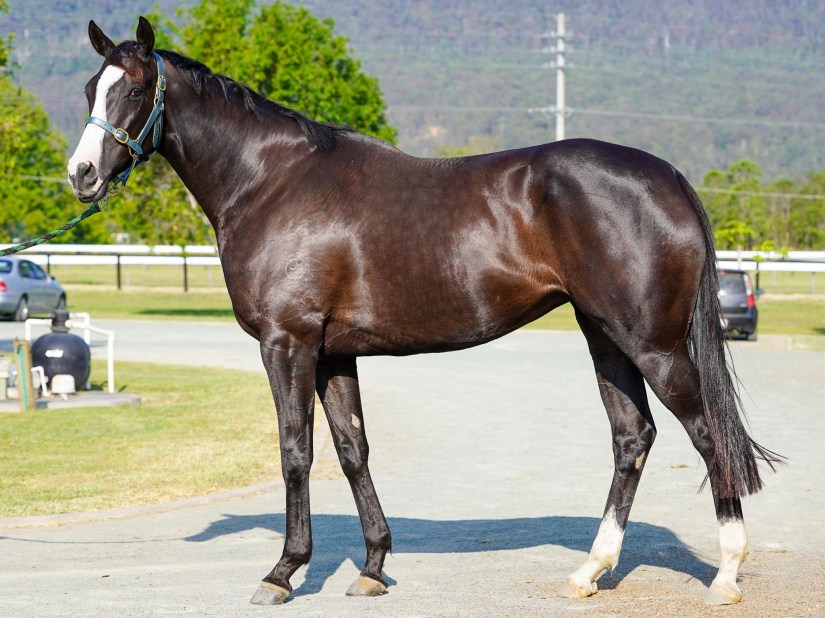 Arrival at Fenwick Farm for Pre Training