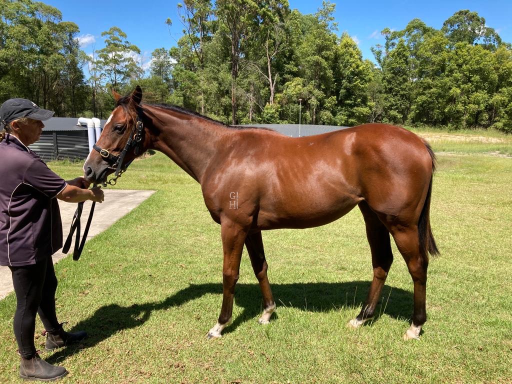 21034663_1283749408402024_7838755116647958767_n