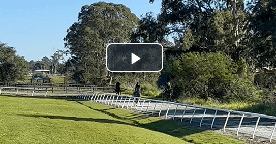 This image has an empty alt attribute; its file name is image-5.png