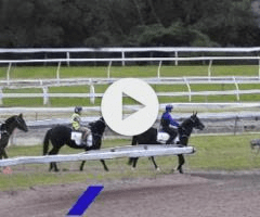 This image has an empty alt attribute; its file name is image-1.png