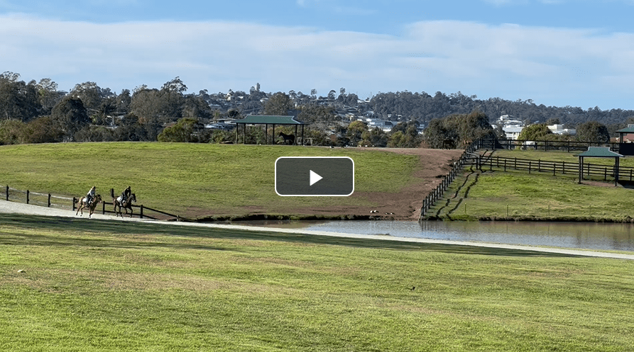 This image has an empty alt attribute; its file name is image-12.png