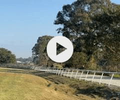 This image has an empty alt attribute; its file name is image-13.png