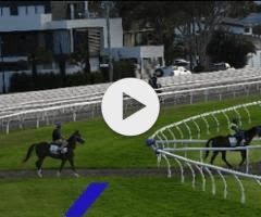 This image has an empty alt attribute; its file name is image-21.png