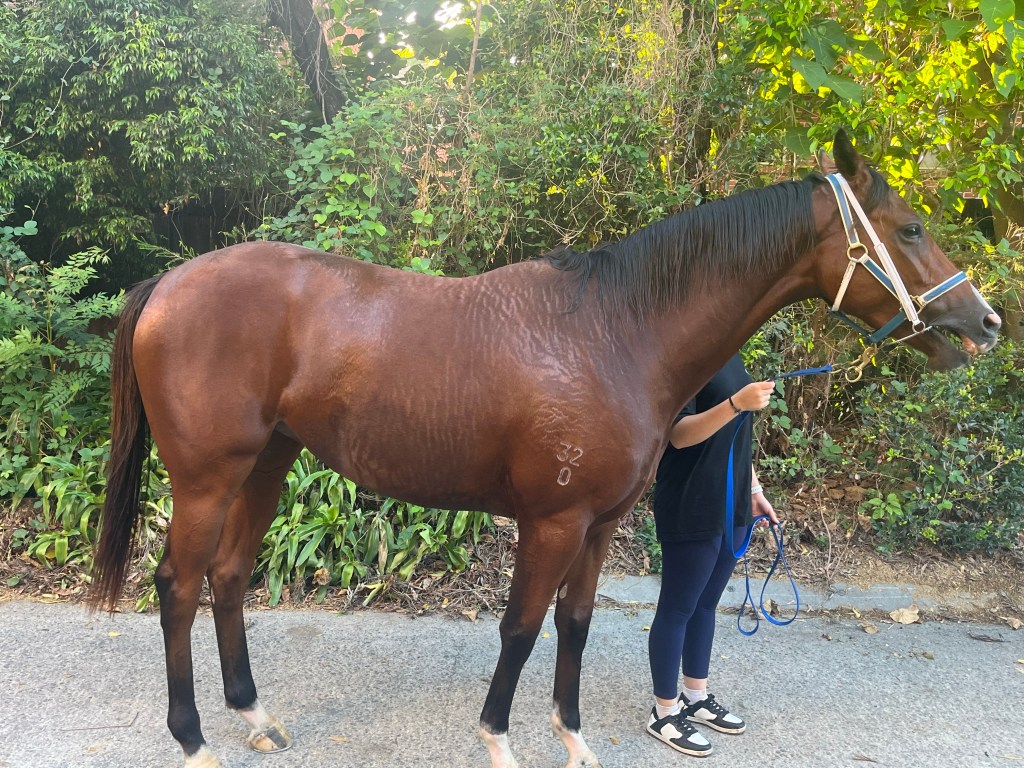 This image has an empty alt attribute; its file name is img_1581.jpg